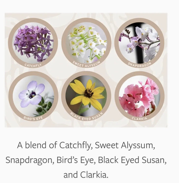 Plantable Greeting Cards