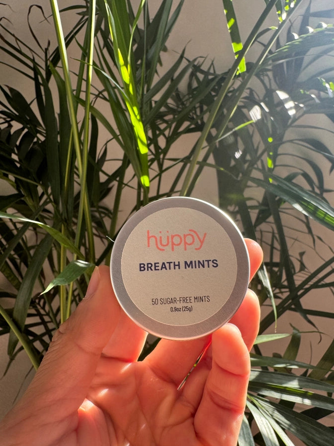 Breath Mints, Sugar-Free, Refillable (591)