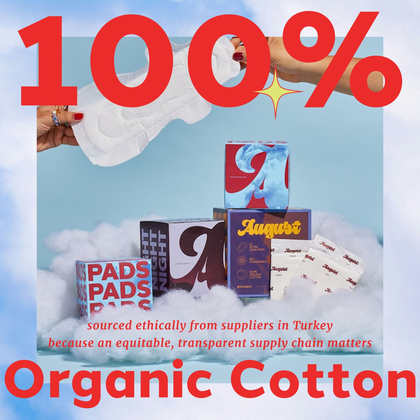 Pads w/ Wings, Sustainable Day, 16ct