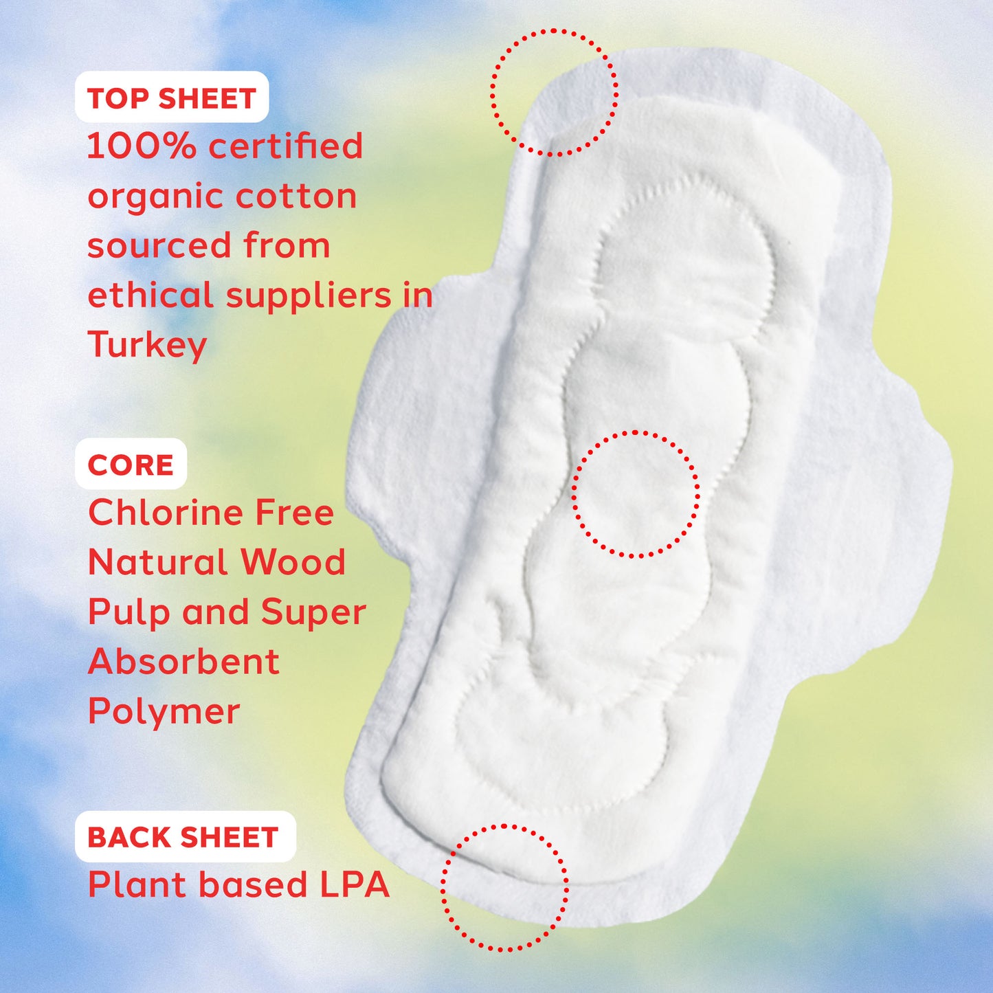 Pads w/ Wings, Sustainable Day, 16ct