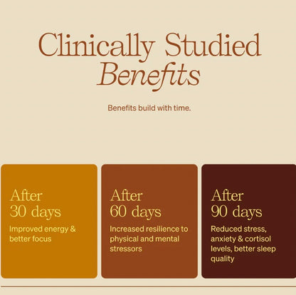 Matcha Superlatte (755)