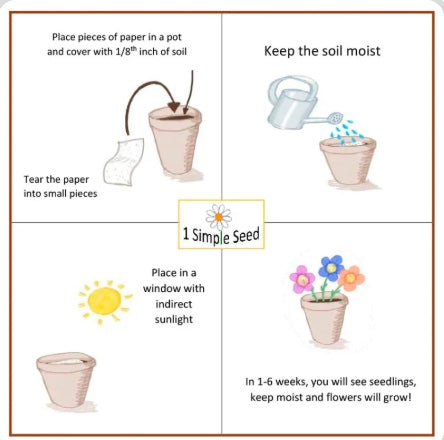 1 Simple Seed Plantable Card