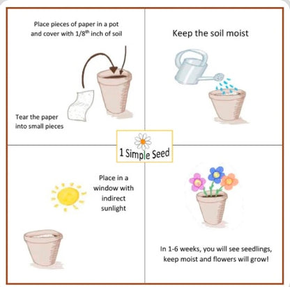 1 Simple Seed Plantable Card