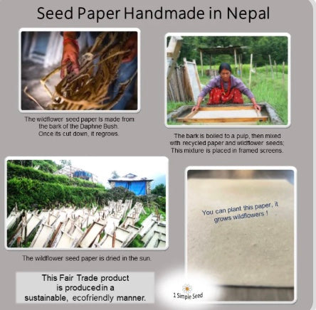 1 Simple Seed Bundle of 6 Cards