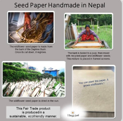 1 Simple Seed Plantable Card