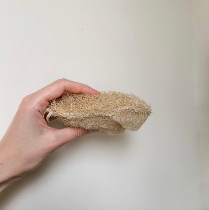 Double Layer Large Natural Loofah Sponge, 3pk