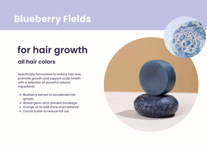 Blueberry Fields, Conditioner Bar