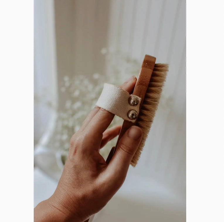 Dry/Wet Long Handle Body Brush