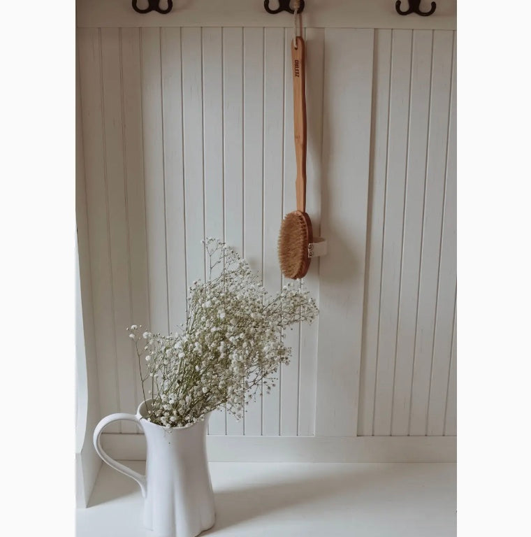 Dry/Wet Long Handle Body Brush