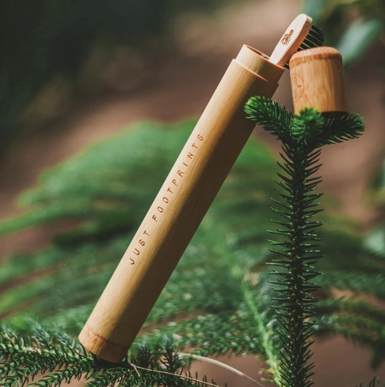 Bamboo Toothbrushes Travel Case