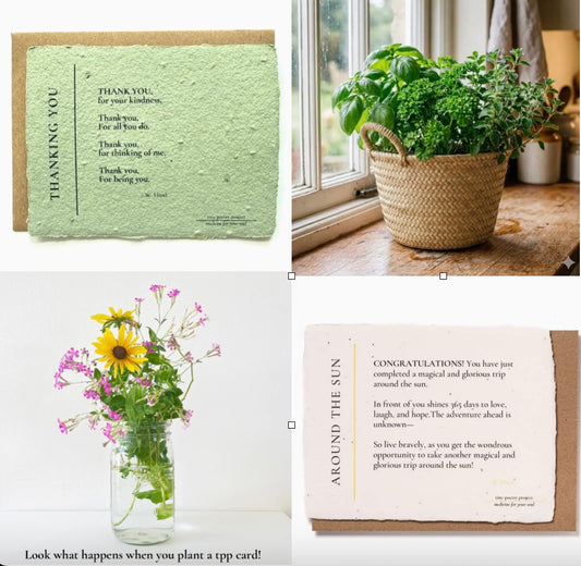 Tiny Poetry Project Plantable Card