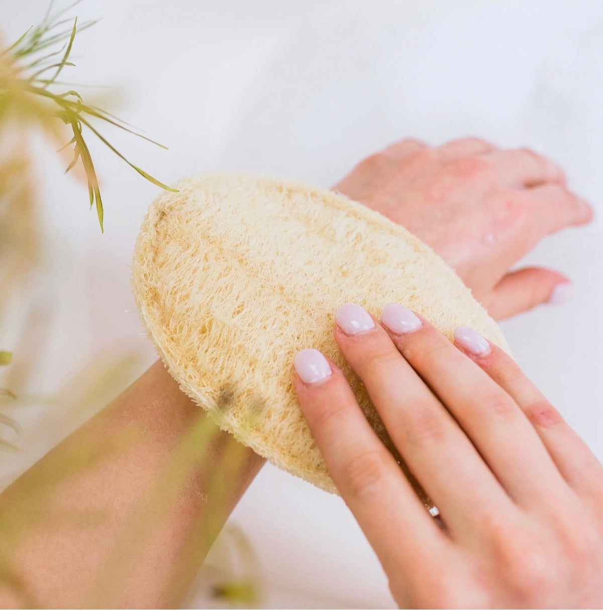 Bamboo Hairbrush, Paddle