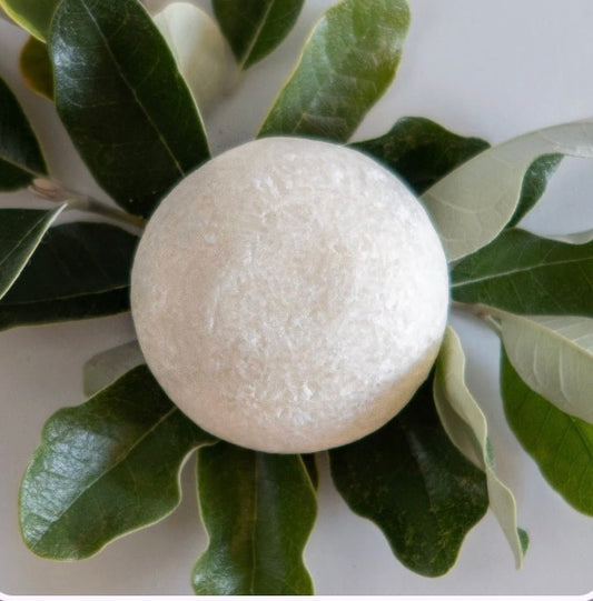 Unscented, Shampoo Bar