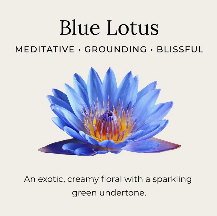 Deodorant, Blue Lotus (593)
