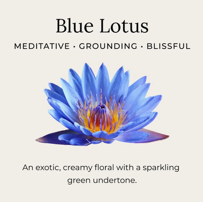 Deodorant, Blue Lotus (593)