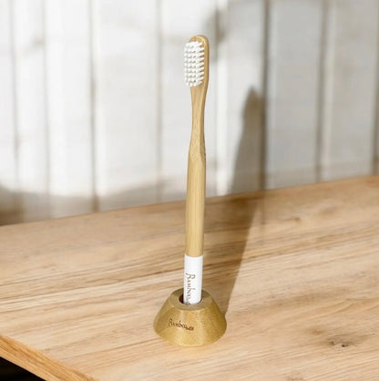 Bamboo Toothbrush Stand