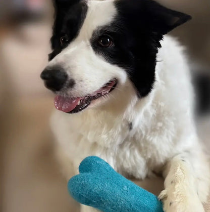 Eco Wool Toy Dog Bone