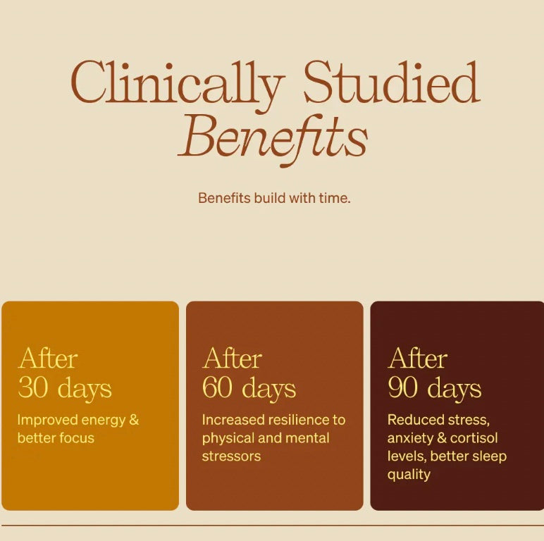 Golden Superlatte (753)