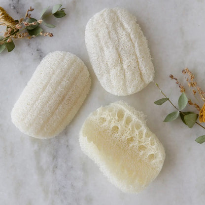 Compostable Eco Dish Sponge, 3 Pack