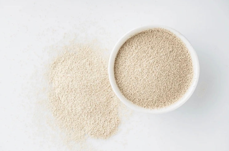 Yeast, Dry Active (446)