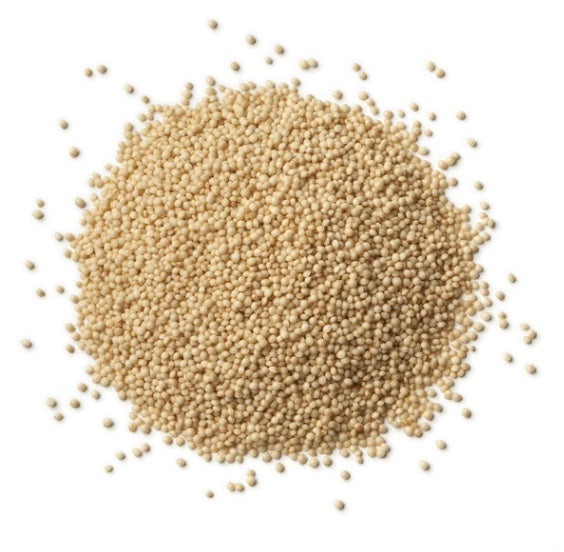 Amaranth, Organic (865)