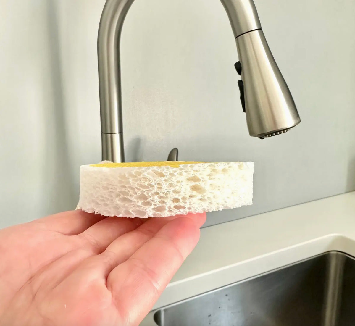Pop Up Wood Pulp Dish Bath Sponge