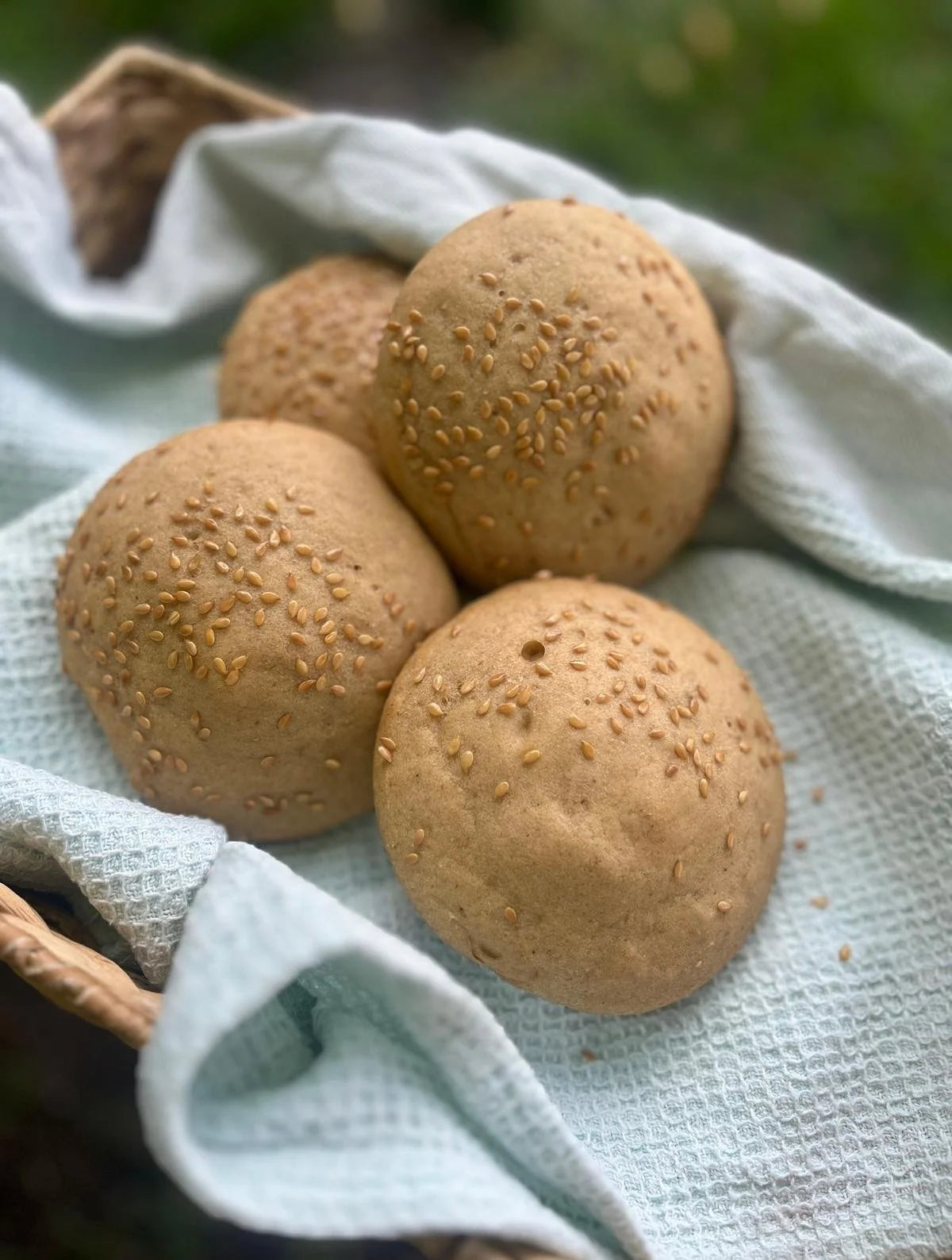 Love Buns