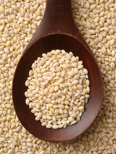 Semi-Pearled Barley, Purple, Organic (444)
